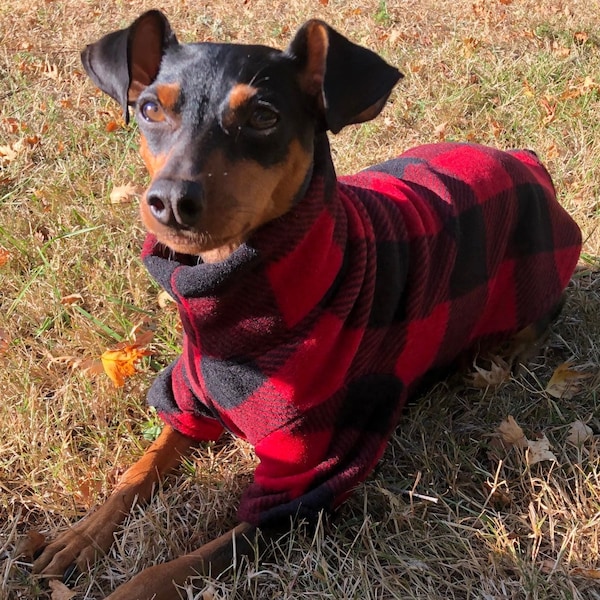 Lumberjack - Small Breed Dog Coat - Poncho