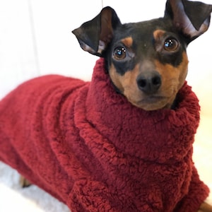 Wooly Jumper - Garnet - Small breed dog coat