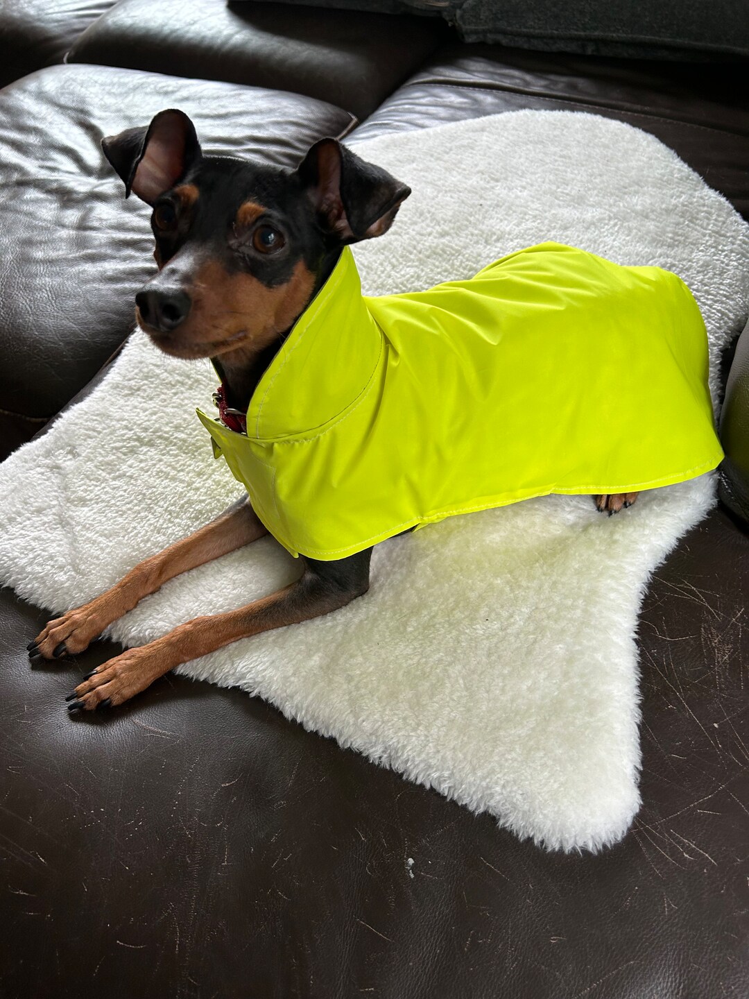 Yellow Reflective Rain Coat Dog Coat Small Breed Dog Etsy