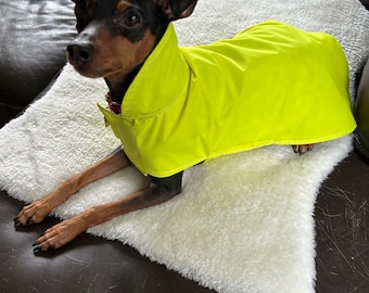 Raincoat Yellow reflective - Dog Coat - Small Breed dog raincoat