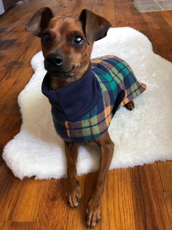 flannel dog sweater