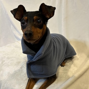 May include: A small black and brown dog wearing a blue fleece dog coat. The coat has a collar and a pocket on the front.