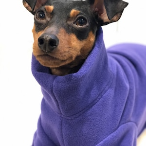 May include: A small dog with black and brown fur wearing a purple fleece dog sweater. The dog is looking directly at the camera. The sweater has a high collar and covers the dog's body.