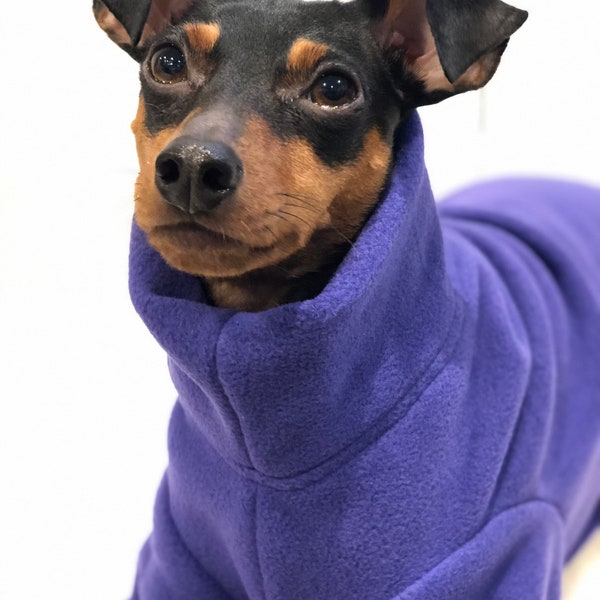 Purple Dog Coat Etsy