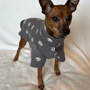 Skulls -Small Breed dog coat -poncho