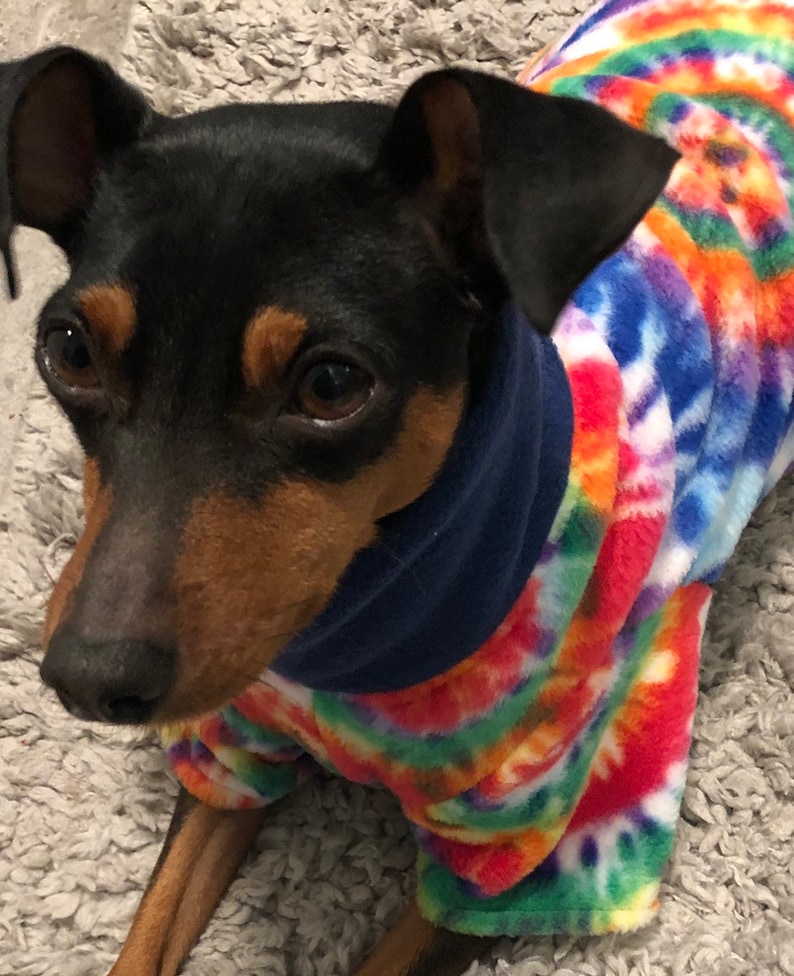 Tie dye Small Breed Dog Coat Poncho Etsy