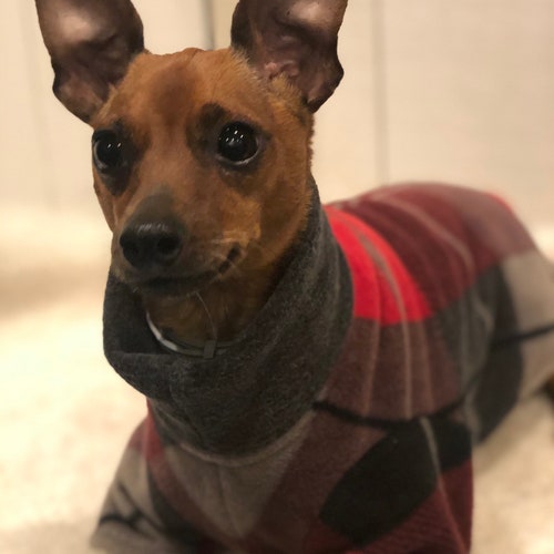 Blue Plaid Dog Coat Etsy