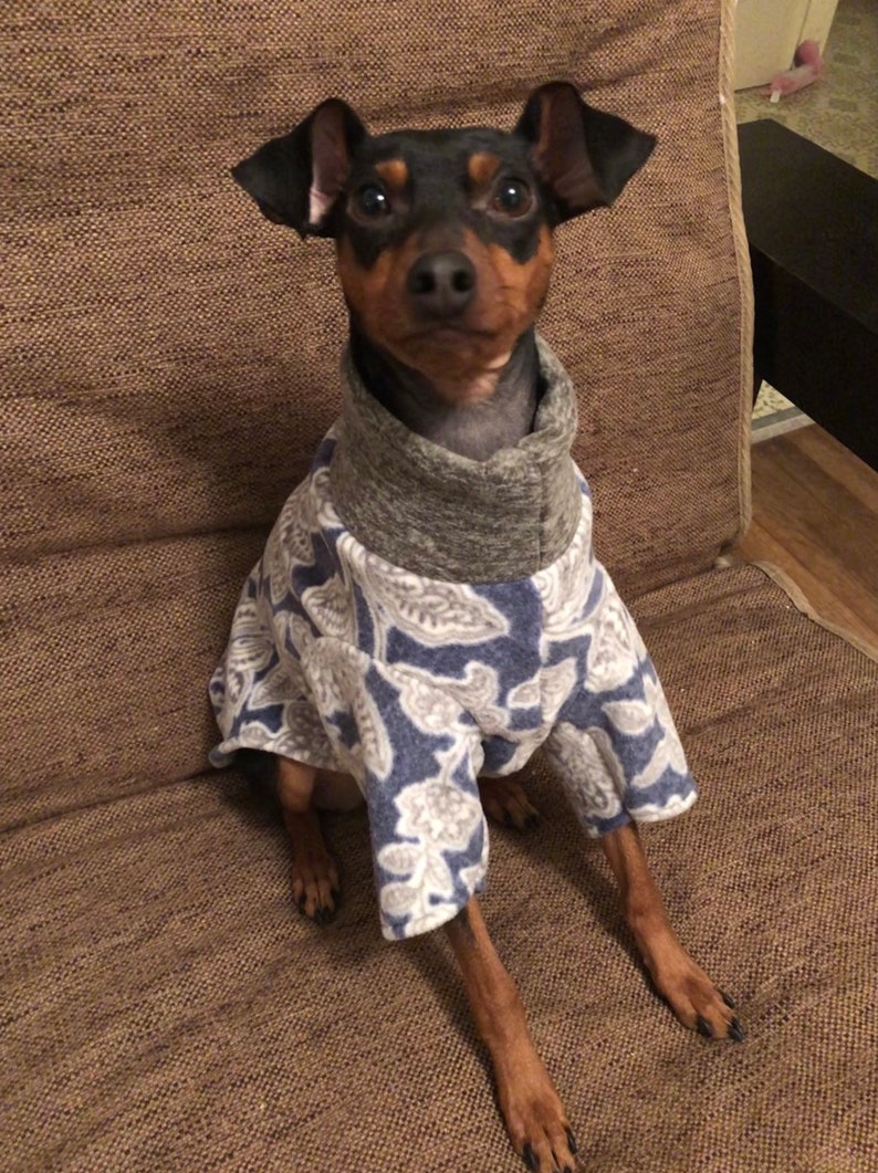 Luxe fleece blue floral Poncho Dog Coat