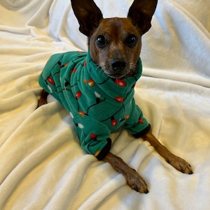 Christmas lights - Small Breed Dog Coat - Poncho