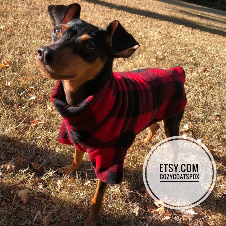 Lumberjack Small Breed Dog Coat Poncho Etsy