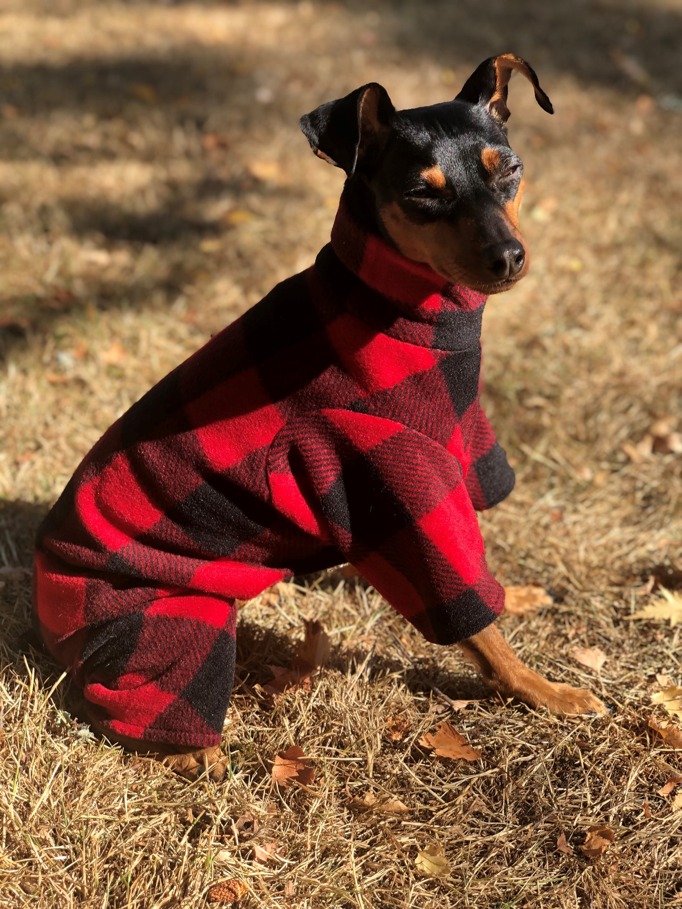 Lumberjack Dog Pajamas Small Breed Dog Sweater Etsy
