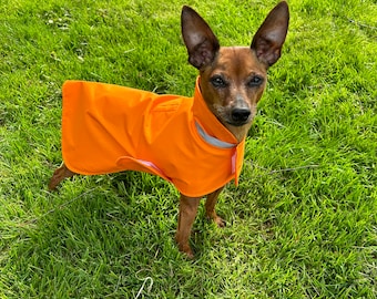 Raincoat Orange with reflective stripe at collar - Dog Coat - Small Breed dog raincoat
