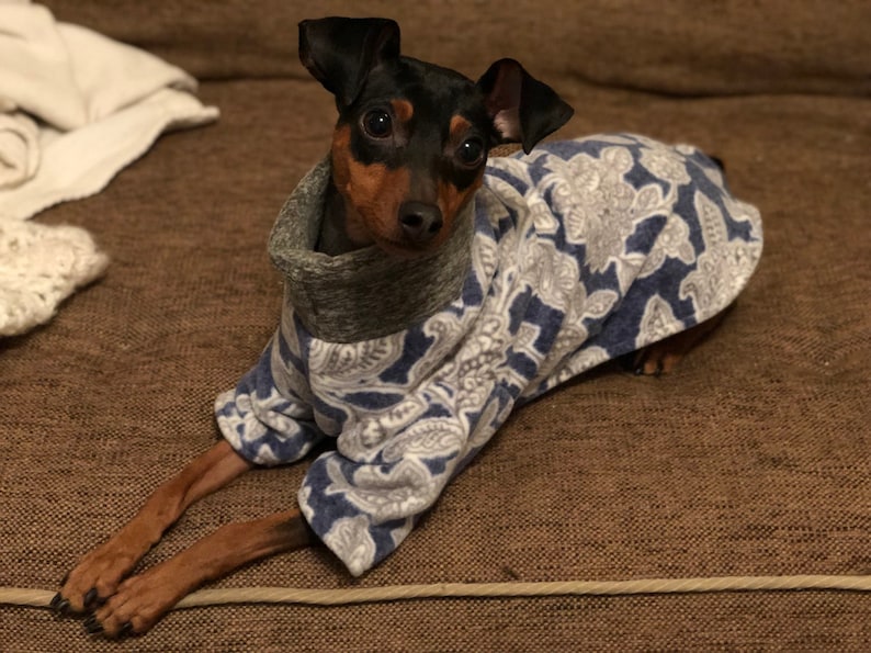 Luxe fleece blue floral Poncho Dog Coat