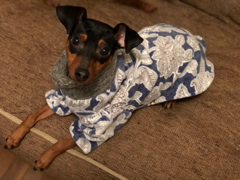 Luxe fleece blue floral Poncho Dog Coat