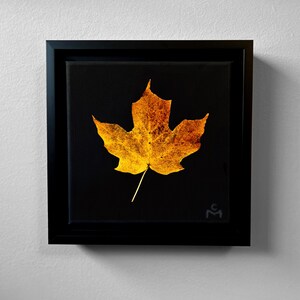May include: A framed artwork featuring a vibrant, golden-yellow maple leaf against a stark black background. The leaf's intricate details are highlighted, creating a striking contrast. The artwork is encased in a sleek, black frame, enhancing its visual impact.