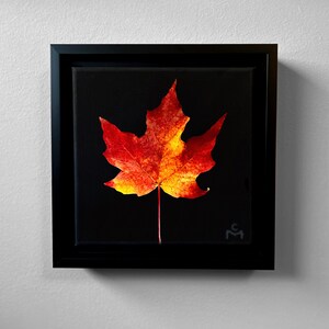 May include: A framed artwork featuring a vibrant red and yellow maple leaf against a black background. The leaf is the focal point, showcasing intricate details and color gradients. The artwork is encased in a black square frame, creating a striking contrast.