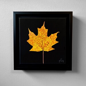 May include: A framed artwork featuring a vibrant yellow maple leaf against a black background. The leaf, with its intricate details, is the focal point, set within a square black frame. The artwork is mounted on a white wall.