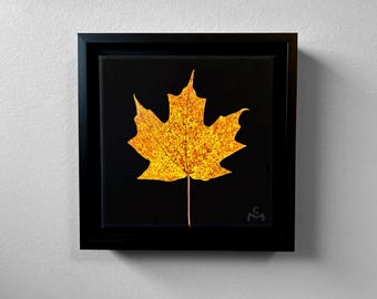 May include: A framed artwork featuring a vibrant yellow maple leaf against a black background. The leaf, with its intricate details, is the focal point, set within a square black frame. The artwork is mounted on a white wall.