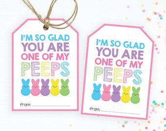Peeps Treat Tags, Easter Gift Tags, Hoppy Easter Bunny, Easter Cookie Tags, School Easter Candy Printable Tags, Easter Basket Label Tag