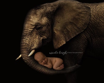 Newborn digital backdrop. Elephant background. Digital. Photography. Composite.