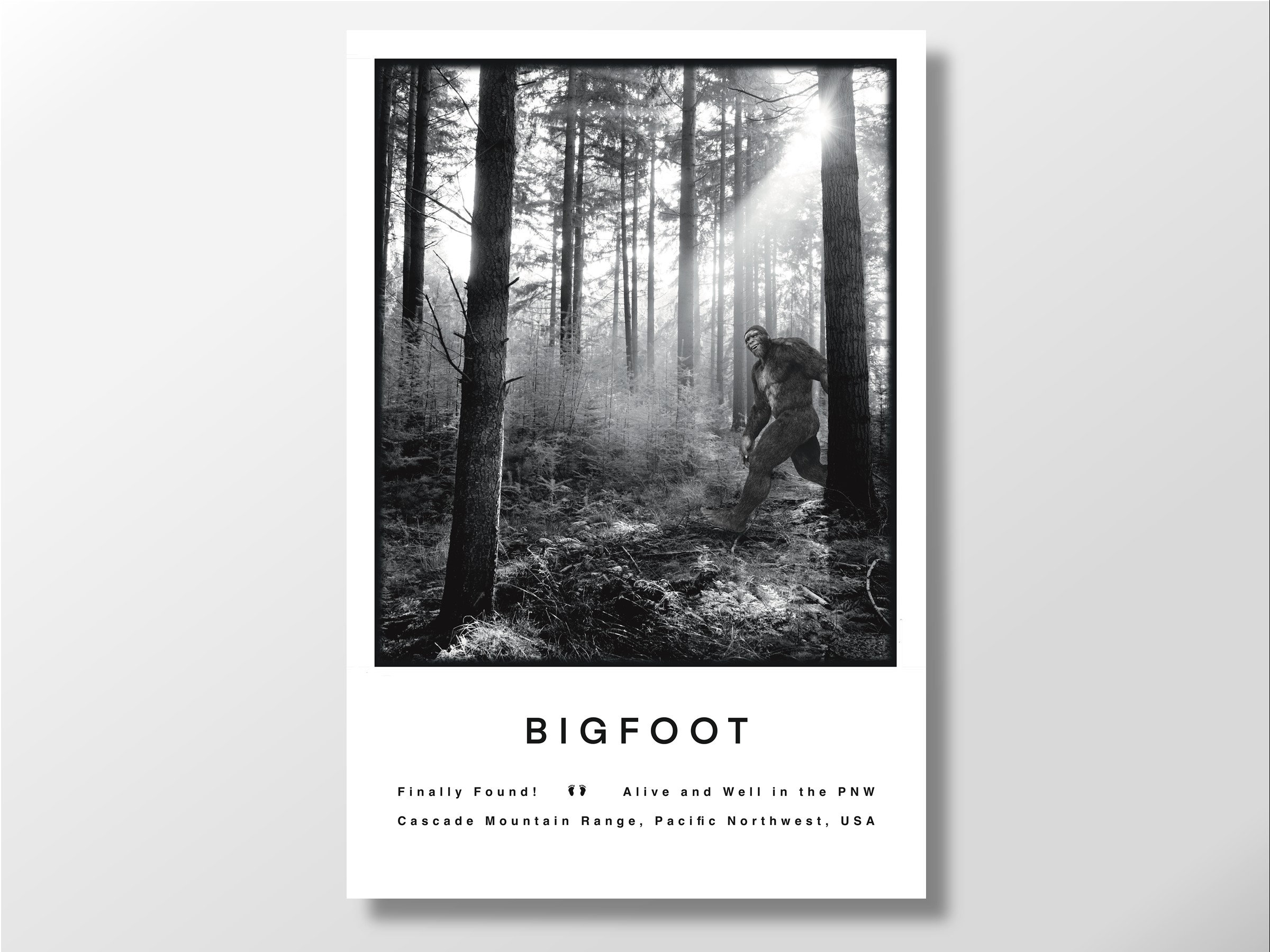 Um pôster de um jogo de bigfoot chamado bigfoot.