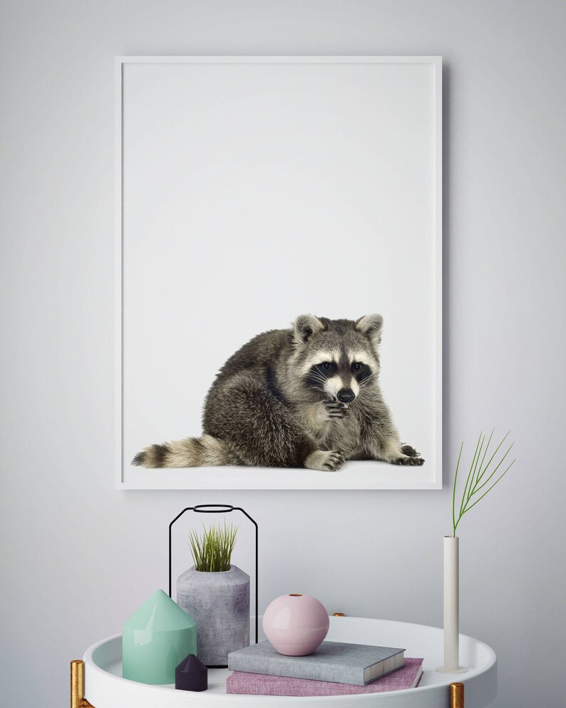 Raccoon Print Nursery Decor Nursery Wall Art Nursery Etsy