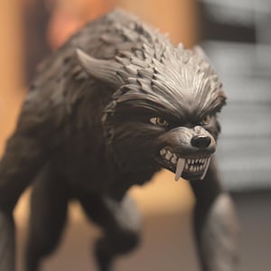 May include: A detailed figurine of a snarling werewolf, captured in a dynamic pose. The figure is predominantly dark grey with textured fur, sharp teeth, and intense yellow eyes. The overall design suggests a fantasy or horror theme.