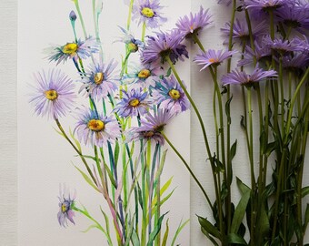 Peinture originale à l’aquarelle, fleurs à l’aquarelle, marguerites violettes, nature morte florale, art botanique, art de la nature, œuvre d’art originale de décoration murale