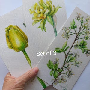 Originale | Acquerello | Set di 3 | Tulipano | Narciso | Ramo di prugno in fiore | 8,6/4,2 pollici.