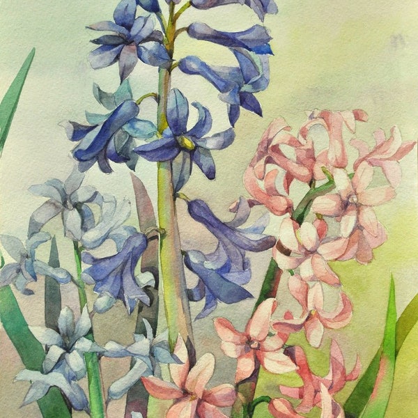 Floral Fine Art Watercolor Painting Hyacinth - Flower Art - Original Watercolour Home Decor