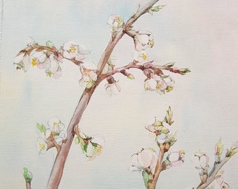 Original watercolor painting,apple blossom,flowers,bees,watercolor flowers,floral still life,botanical artwork,nature art,wall decor,gift