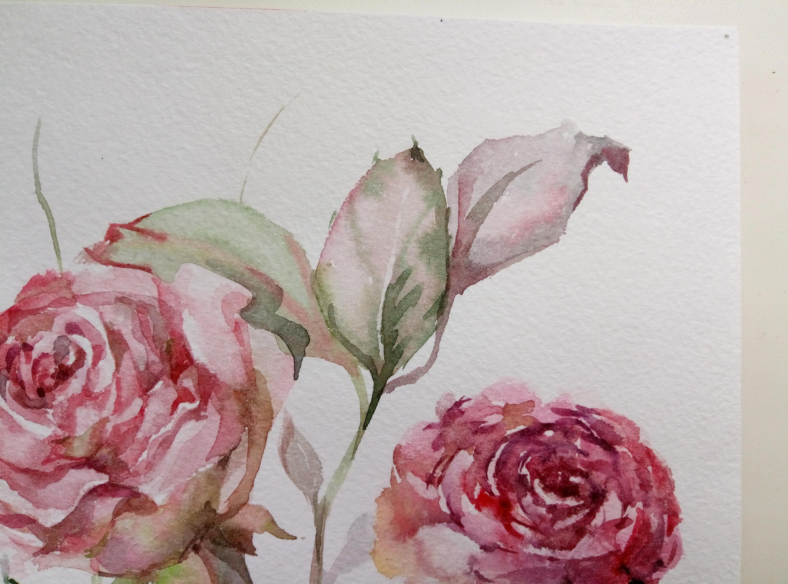 Floral Fine Art Watercolor Painting Roses Flower Art Pink Rose Etsy