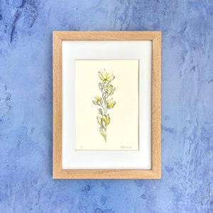 Illustration originale de Crocus, jaune clair image 1