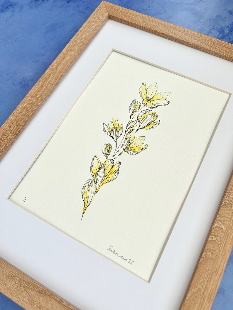 Illustration originale de Crocus, jaune clair image 3