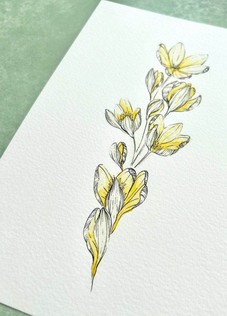 Illustration originale de Crocus, jaune clair image 2