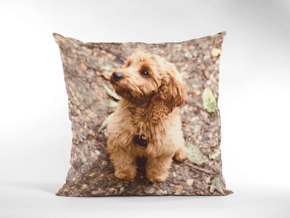 Custom Pet Photo Pillow, Personalised Cushion with Inner. Your image on a cushion, Personalised, Photo Cushion, Dog Cushion, Pet Cushion