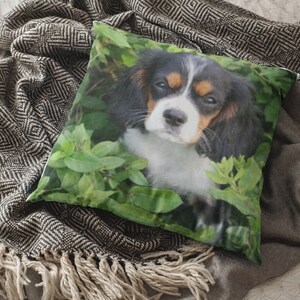 May include: A throw pillow with a green, leafy background featuring a black, brown, and white Cavalier King Charles Spaniel puppy.