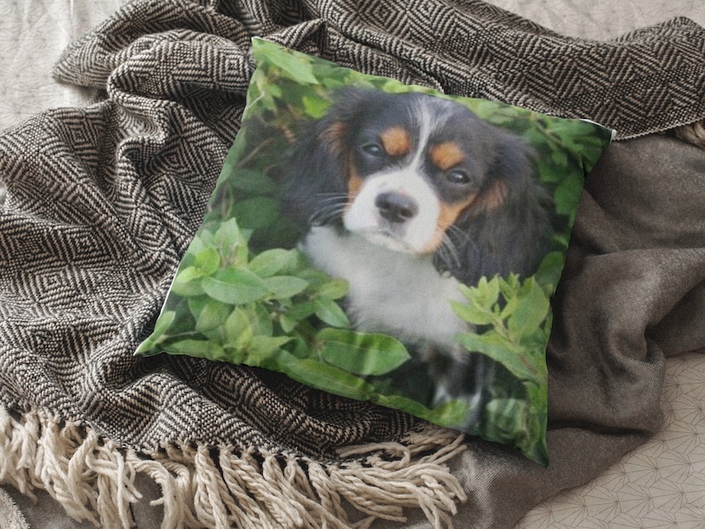 May include: A throw pillow with a green, leafy background featuring a black, brown, and white Cavalier King Charles Spaniel puppy.