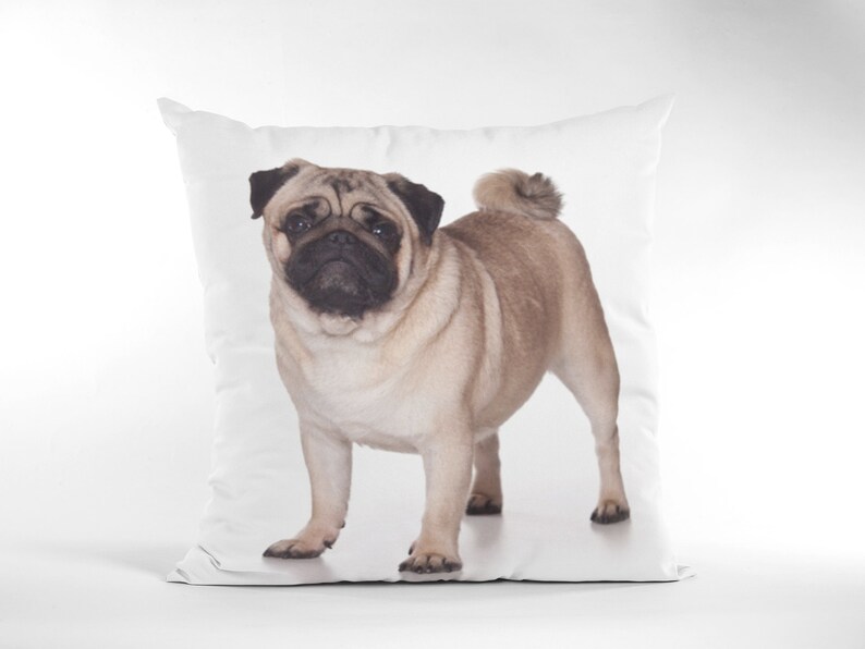 May include: A tan and brown pug dog with black eyes and a short snout is standing on a white background. The dog is looking at the camera.