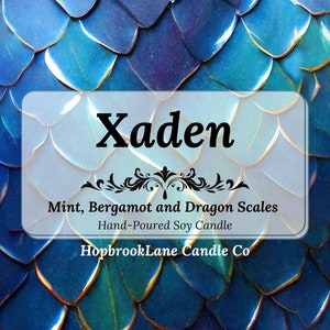 Fourth Wing - Xaden candle