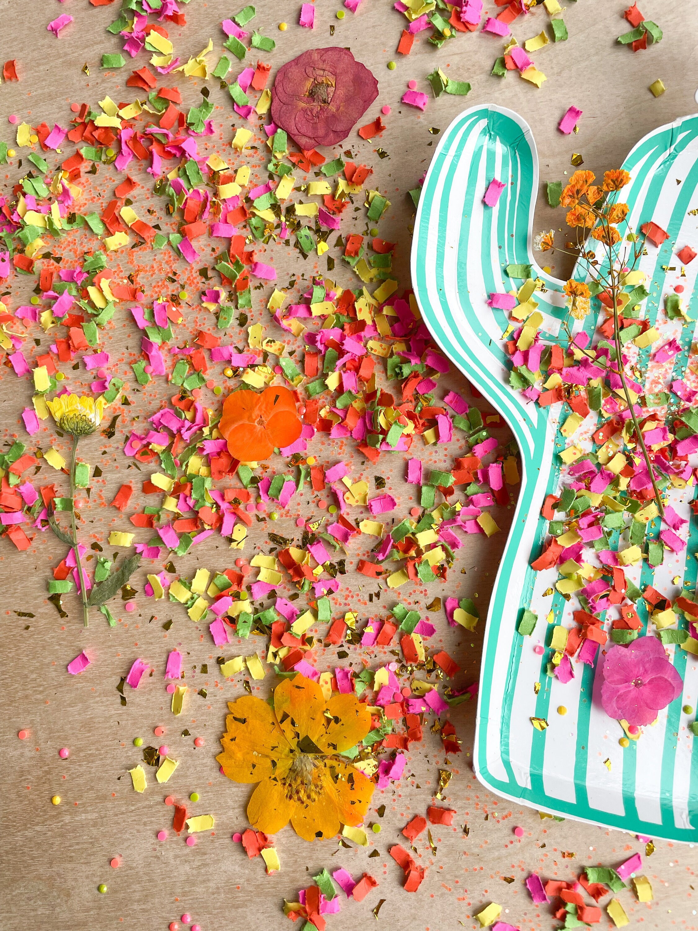Fiesta Confetti Fiesta Baby Shower Fiesta Decorations First Fiesta Final Fiesta Cinco De Mayo Decor Taco Bout a Party Dried Flower Confetti