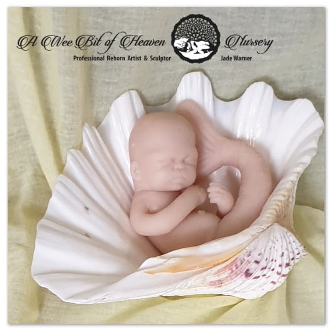 Oceana el mini sirena silicona full body Doll Kit sin pintar por Jade  Warner México