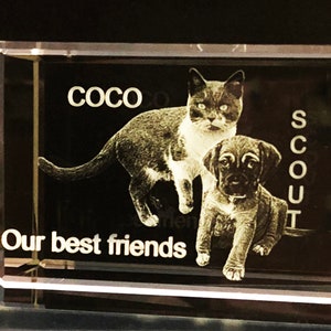 Two pets inside one highly polished optical crystal!