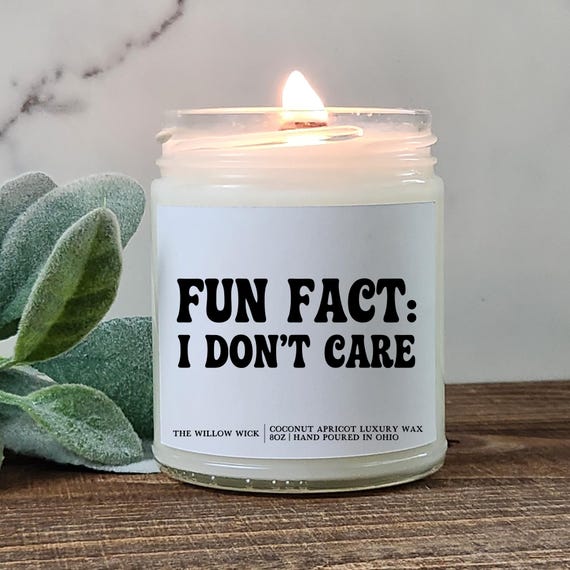 Fun Fact I Don't Care Candle | Snarky Candle | Sarcastic Candle | Funny Candle for Co-Worker | Wood Wick Candle | Funny Gift for Adults