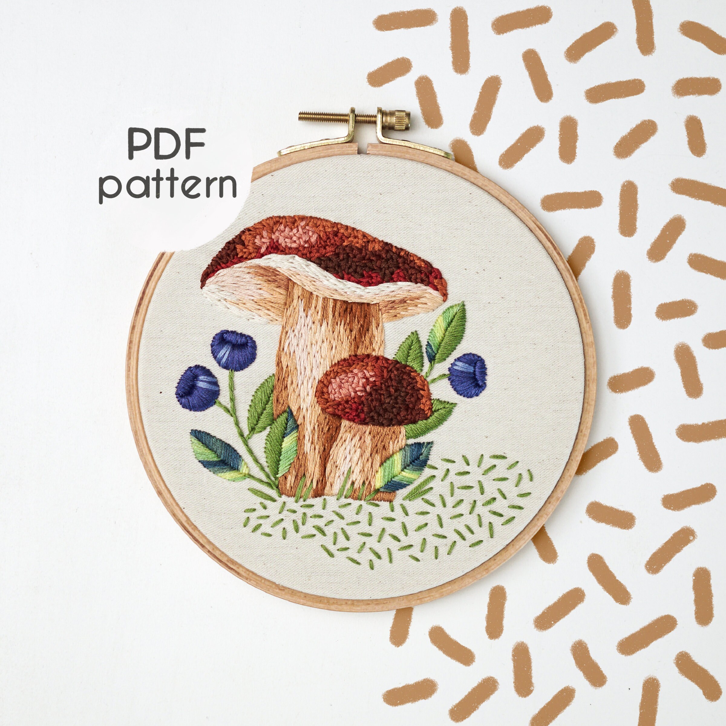 I Funghi - Parco Naturale Paneveggio Pale Di San Martino - Foto 9