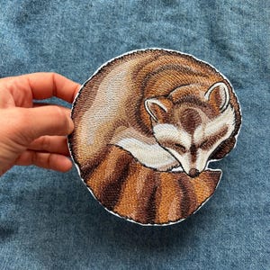 Op de afbeelding: Een ronde geborduurde patch met een slapende wasbeer die tot een bal is opgerold. De wasbeer heeft bruine en beige vacht met een wit gezichtsmasker en een gestreepte staart. Het borduurwerk gebruikt gedetailleerde steken voor textuur.