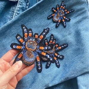 Embroidered tarantula spider patch iron on, Bug badge for jacket, Brazilian red knee insect applique