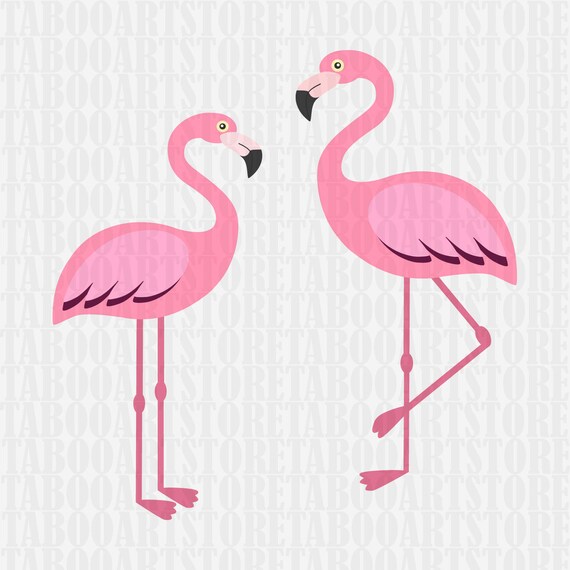 real flamingo clipart real flamingo clipart