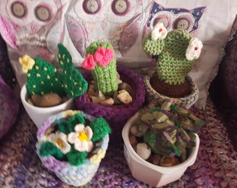 Cactus in crocheted pot