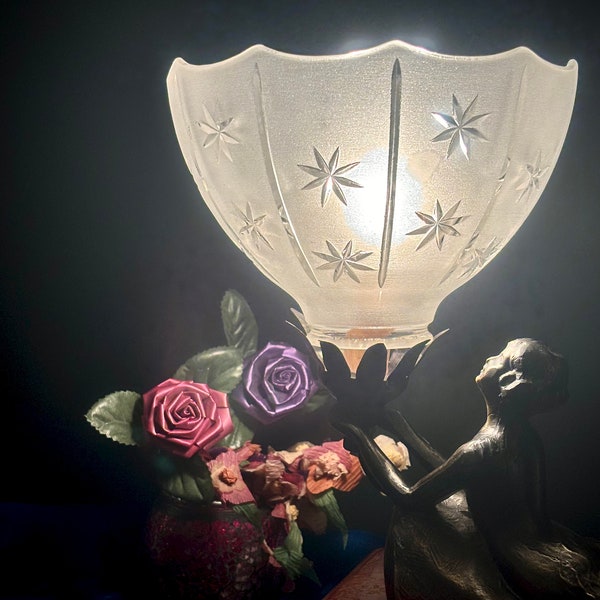 Vintage Frosted Glass Lamp Shade